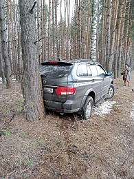 В Путятинском районе женщина-водитель вылетела с дороги и «припарковалась» между двумя деревьями 