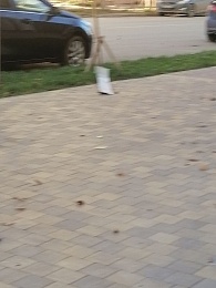 В центре Рязани ураганный ветер сорвал крышу - 62ИНФО В центре Рязани ураганный ветер сорвал крышу