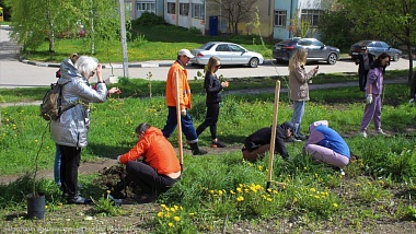 В Рязани высадили ивы и декоративные кустарники 