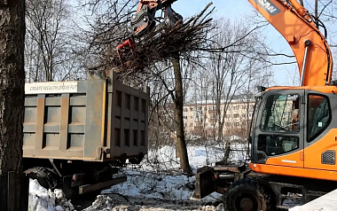 В ЦПКиО завершают санитарную очистку и оздоровление деревьев