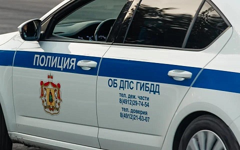Госавтоинспекция напомнила рязанцам о 5 фактах дорожной безопасности  