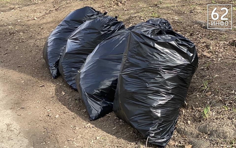 Спасского чиновника привлекут к ответственности за свалку у мусорки - 62ИНФО