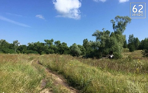 В Рязанской области ожидается потепление