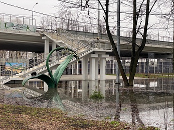 Половодье затопило Лесопарк в Рязани