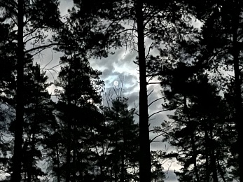 Снежное полнолуние марта сфотографировали в рязанской глубинке - 62ИНФО Снежное полнолуние марта сфотографировали в рязанской глубинке