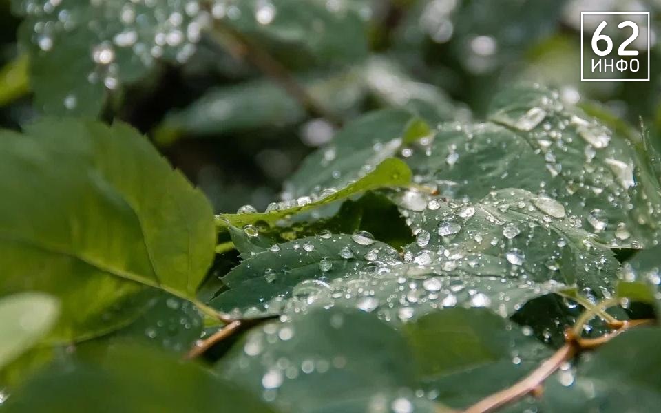 22 мая в Рязанской области ожидается небольшой дождь и заморозки  - 62ИНФО