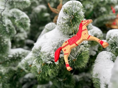 Идеальный Новый год: рязанцам рассказали о погоде на 31 декабря