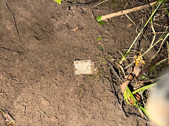 В Рязани задержали создателя наркомагазина с закладками в Горроще