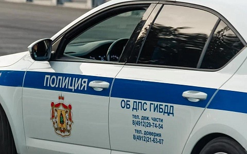 Массовая проверка на дорогах проводится рязанской Госавтоинспекцией 