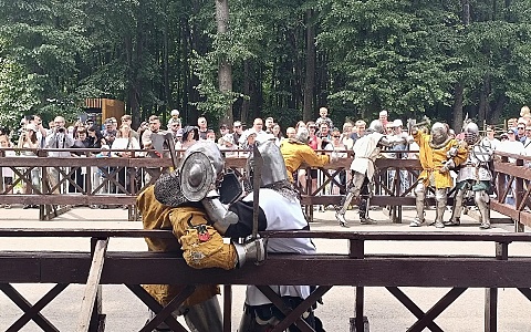 Рязанцы примерили рыцарские доспехи на фестивале реконструкции