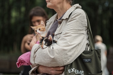 В Лесопарке Рязани прошла выставка бездомных животных "Пойдем домой"