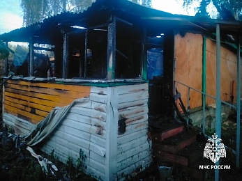 Рязанское МЧС показало кадры со смертельного пожара в Сараевском районе