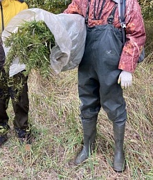 В Рязанском районе в укромном месте нашли плантацию наркотиков