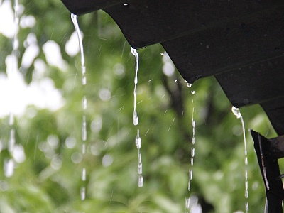 26 октября рязанцев ждет дождь и сильный ветер