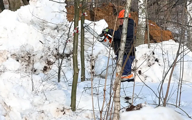 В ЦПКиО завершают санитарную очистку и оздоровление деревьев