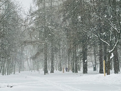 Синоптики обещают снежную погоду и гололёд 8 февраля