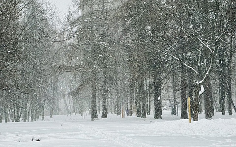 Синоптики обещают снежную погоду и гололёд 8 февраля