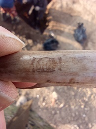 Археологи нашли в центре Рязани артефакты XIX века