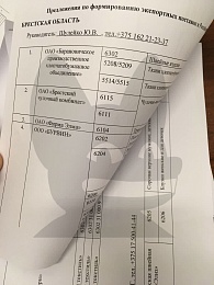 Собчак опубликовала письмо рязанского минэконома с предложением продвижения белорусских товаров