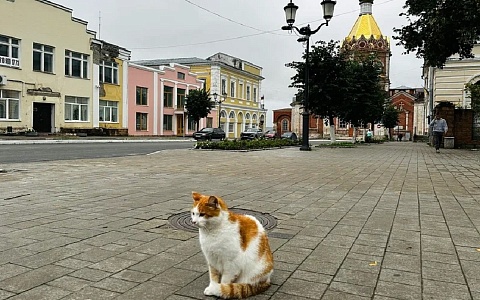 В Касимове пройдет Ночь кино (6+)