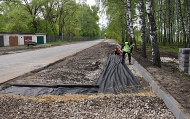 Парк «100 берёзок» в Сасовском округе ждёт масштабное обновление
