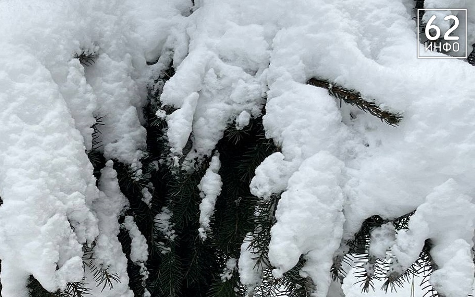 Рязанскую область 24 февраля ждет опасный липкий снег и оттепель - 62ИНФО