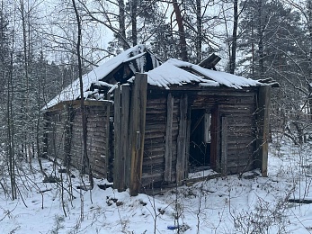 В рязанском лесу сфотографировали заброшки и лестницу в никуда - 62ИНФО В рязанском лесу сфотографировали заброшки и лестницу в никуда