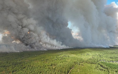 Очевидец снял пожар в Спасском районе с высоты