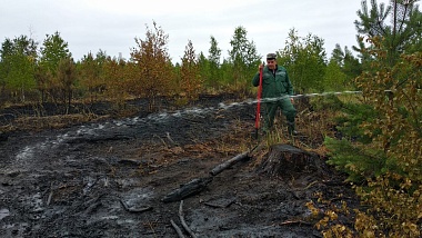 Активно горит 40 гектаров, угрозы людям нет, в Сельцах рвались снаряды. Подробности о лесных пожарах  - 62ИНФО Активно горит 40 гектаров, угрозы людям нет, в Сельцах рвались снаряды. Подробности о лесных пожарах
