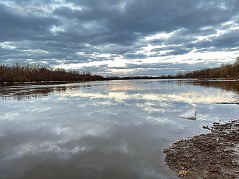 Ореховое озеро под Рязанью вышло из берегов из-за паводка