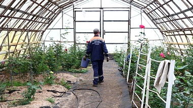 В Рязани клумбы украсят 400 тысяч однолетних растений