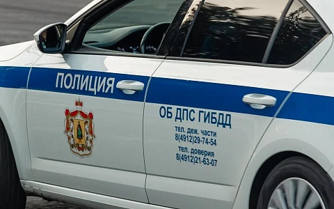 За сутки в Рязанской области выявили более 10000 нарушений ПДД