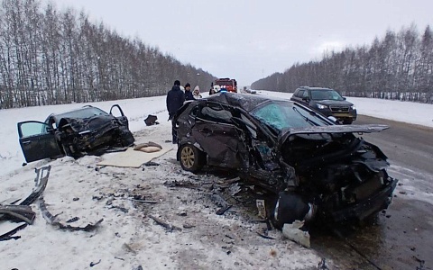 На трассе под Александро-Невским в аварии погибли два человека