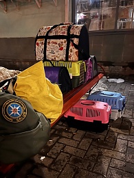 Девять домашних кошек оказались выброшены на крышу магазина в Рязани 