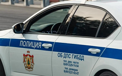 Инспекторы ДПС проводят масштабные рейды в Рязанской области  