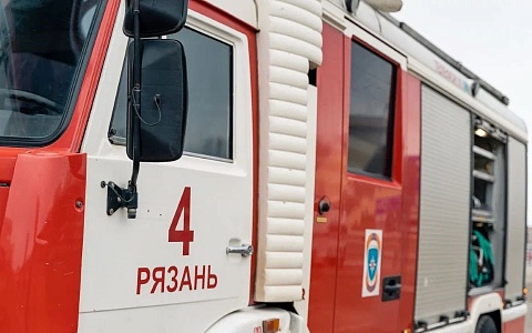 В Рязанской области за сутки работники МЧС потушили 14 пожаров 