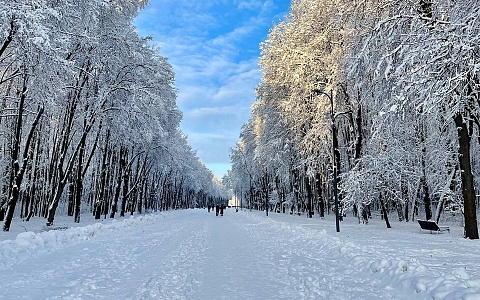5 января в Рязанской области ожидается снег и гололедица