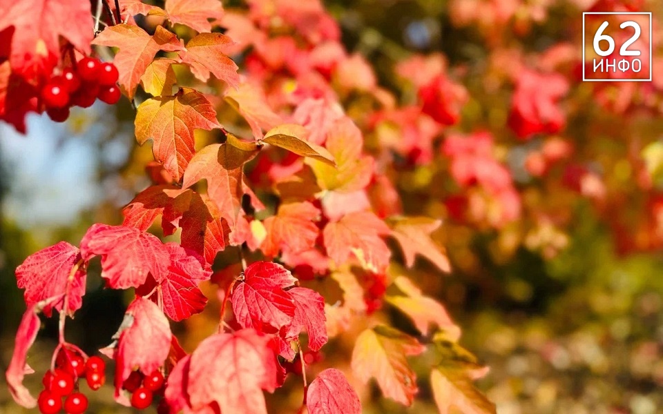 В Рязанской области 6 сентября будет от +3 до +25°С - 62ИНФО