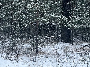 В рязанском лесу сфотографировали заброшки и лестницу в никуда - 62ИНФО В рязанском лесу сфотографировали заброшки и лестницу в никуда