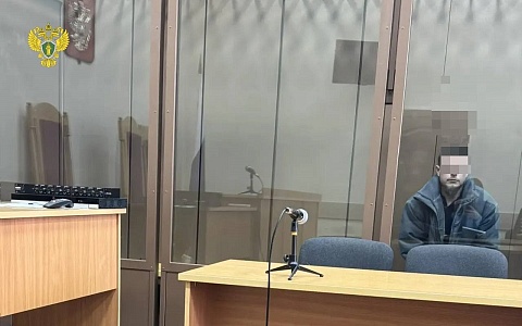 В Рязани подозреваемого в мошенничестве ростовчанина отправили в СИЗО