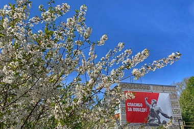 Павел Малков показал, как регион украшают к Дню Победы