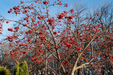 Рязанская епархия показала фотографии митрополита Марка - 62ИНФО Рязанская епархия показала фотографии митрополита Марка