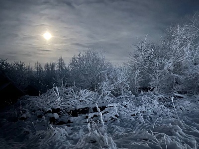 Ниже нормы на 12°С: в МЧС рассказали рязанцам о морозах до 6 февраля