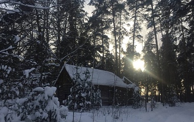 Рязанцы делятся фото первого снегопада в городе и в лесу