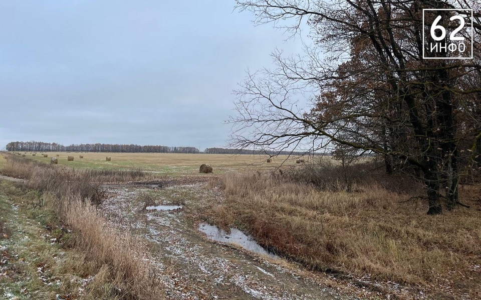 Рязанскую область настиг погодный рекорд - 62ИНФО