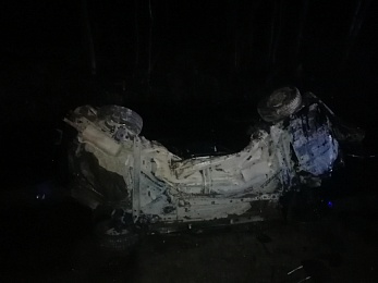 Появились фото с места смертельного ДТП с косулей в Клепиковском районе  - 62ИНФО Появились фото с места смертельного ДТП с косулей в Клепиковском районе