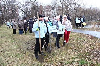 В Новопавловской роще высадили десятки новых деревьев