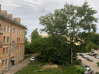 На улице Белякова в Рязани дерево рухнуло на припаркованный автомобиль 