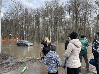 Фоторепортаж: рязанцы покоряют затопленный Лесопарк на лодках и сап-бордах - 62ИНФО Фоторепортаж: рязанцы покоряют затопленный Лесопарк на лодках и сап-бордах