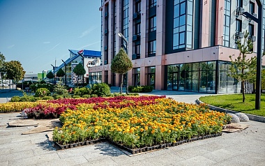  ЖК ITower возглавил рейтинг новостроек Рязанской области